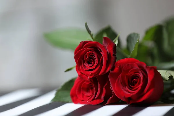 Rosen Für Den Frauentag Stockbild