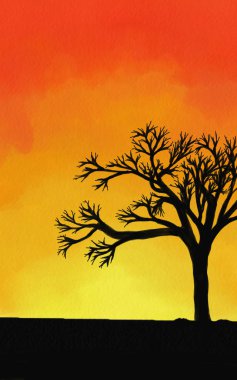 Gün batımında ağaç silueti.