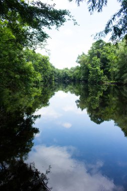 Ağaçlar ve mavi gökyüzü nehir yansımasında