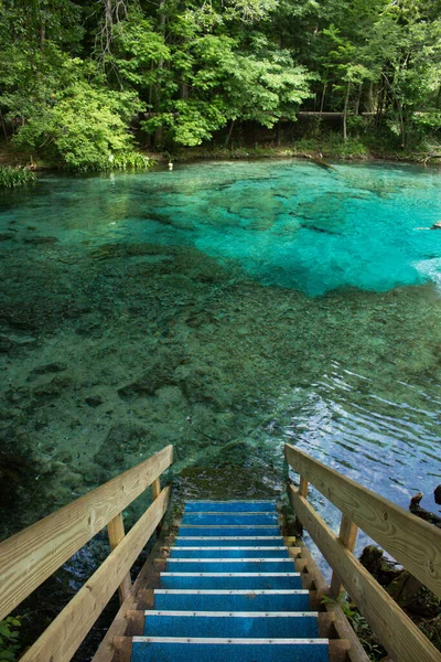 Waldbäume Spiegeln Sich Einem Fluss — Stockfoto