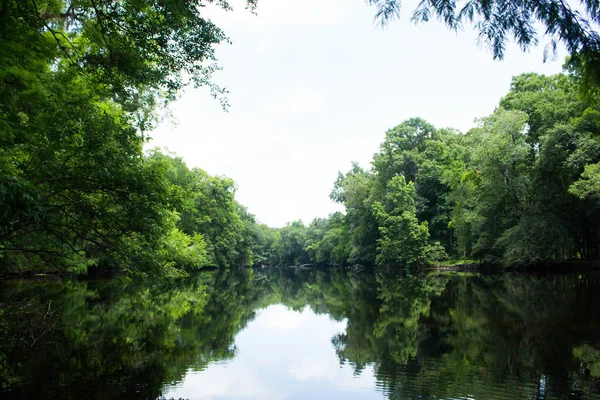 河流反射中的树木和蓝天 — 图库照片