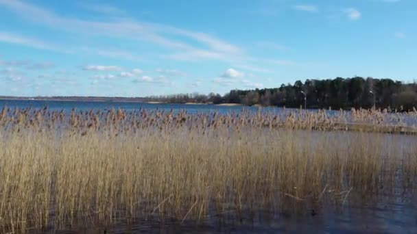 Vue aérienne du lac forestier par une journée ensoleillée 