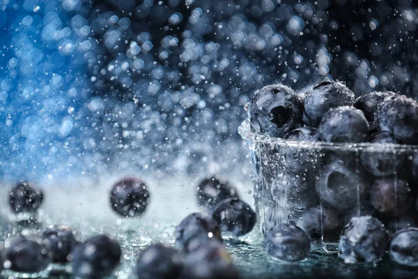 Big Blueberries Plastic Box Closeup Water Drops Dark Blue Background — Stock Photo, Image