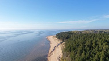 Güzel deniz manzarasının havadan görünüşü. Güneşli bir günde kumlu bir sahil, yeşil ağaçlar ve sessiz deniz manzarası. Tatilde. Seyahat ediyorum. Açık hava eğlencesi. 