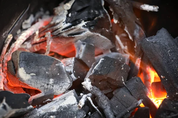 Ogień Węgla Ogień Tle Pikniku Przyrody Gotowanie Węgla Gotowania Mięsa — Zdjęcie stockowe