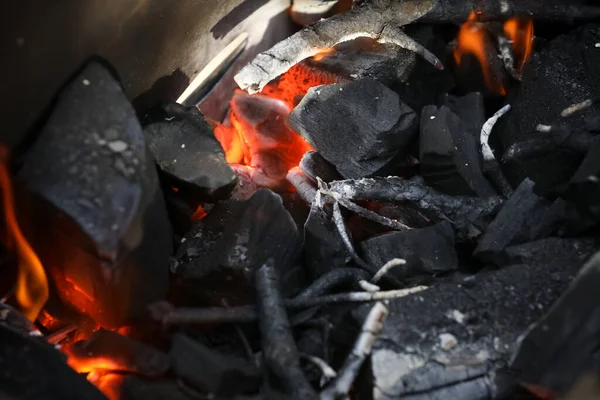 Ogień Węgla Ogień Tle Pikniku Przyrody Gotowanie Węgla Gotowania Mięsa — Zdjęcie stockowe