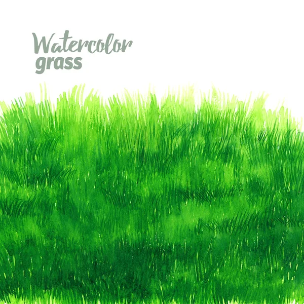 Green grass lawn painted in watercolor on white isolated background — Stock Photo, Image