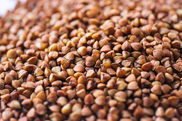 Wood buckwheat (food) — Stock Photo, Image