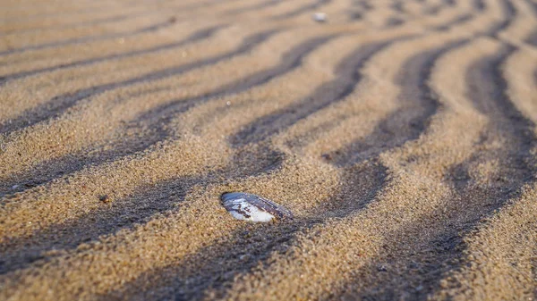 La sabbia sul Golfo di Finlandia vicino a San Pietroburgo. Russia. Estate 2016 — Foto Stock