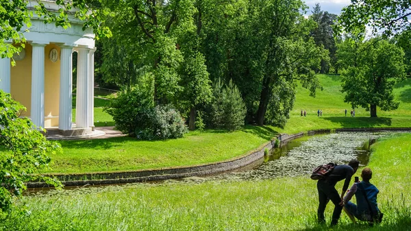 Russia. Pavlovsk Park all'inizio di giugno 2016. Un paesaggio naturale . — Foto Stock