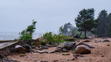 Rusya. 2016 yaz. St. Petersburg, Finlandiya Körfezi üzerinde fırtına.