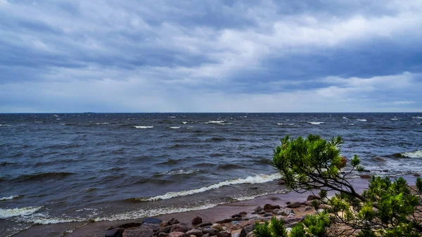 俄罗斯。2016年夏季。圣彼得堡的风暴, 在芬兰湾. — 图库照片