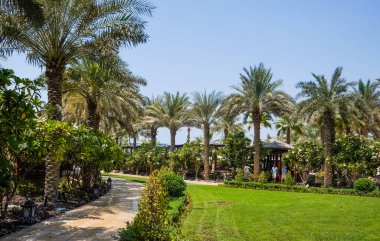 Dubai. 2016 yaz. Dört mevsim otel Jumeirah bakan yeşil bir vaha