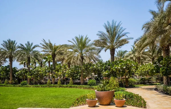 Dubai. Verano 2016. Un oasis verde con vistas al hotel Four Seasons Jumeirah — Foto de Stock