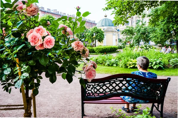 圣彼得堡。夏季 2016年。一名老妇在市公园休息 — 图库照片