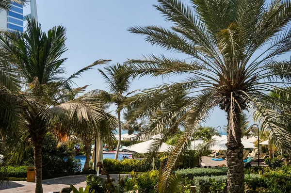 Dubai. No verão de 2016. Oásis do Hotel Jumeirah Beach no Golfo Pérsico . — Fotografia de Stock