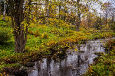 Sonbahar manzara. San Park akışında. Saint-Petersburg 2016. 