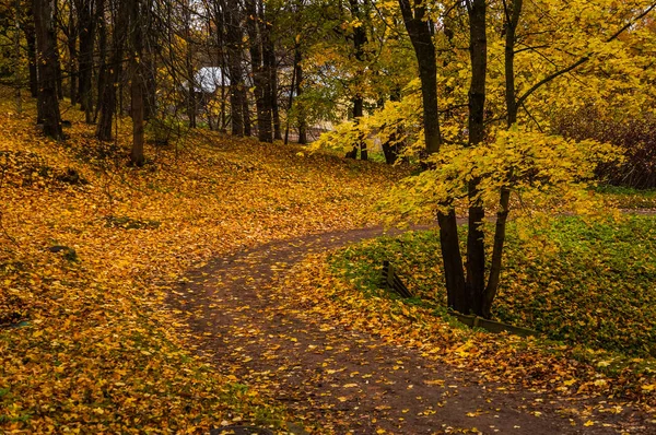 Rosyjski jesień krajobraz. Ścieżki w Oranienbaum Park. Saint-Petersburg. Jesień 2016. — Zdjęcie stockowe