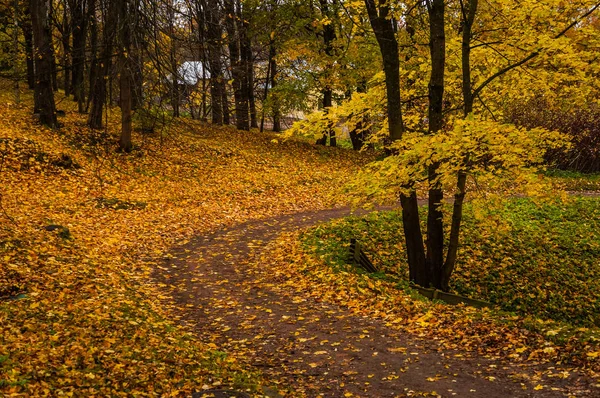 Rus sonbahar manzara. San Park yollarında. Saint-Petersburg. Sonbahar 2016. — Stok fotoğraf