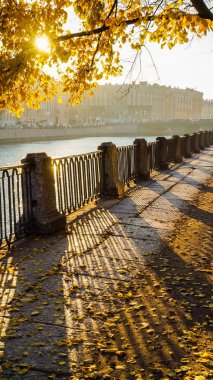 Sonbahar kentsel peyzaj. St. Petersburg sabahın erken saatlerinde. Sonbahar 2016.