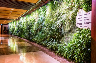 Dubai. 2016 yazında. Hotel Sofitel The Palm 'da yaşayan bitkiler ve mermer dekorasyon duvarları ile modern ve aydınlık iç mekanlar. 