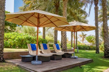 Dubai. 2016 yaz aylarında. Yeşil vaha The Ritz Carlton Dubai Hotel.