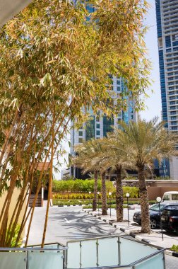 Dubai. 2016 yaz aylarında. Yeşil vaha The Ritz Carlton Dubai Hotel.