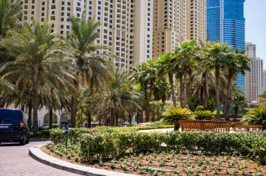 Dubai. 2016 yaz aylarında. Yeşil vaha Palm Jumeirah üzerinde. Westin ve Le Meridien Mina Seyahi otel.
