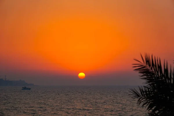 在阿拉伯海湾地区的热带落日。迪拜。夏天2016. — 图库照片