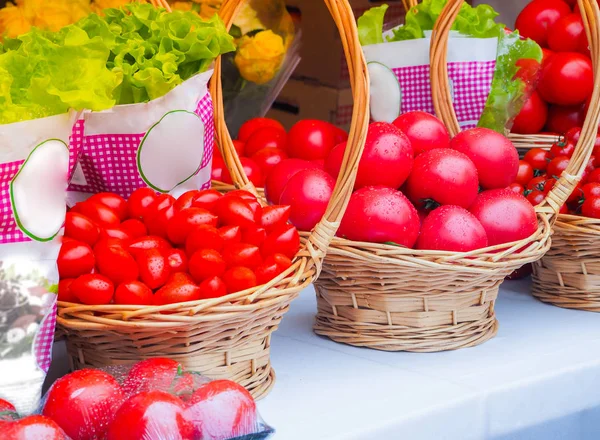Сбор красных помидоров в корзину со свежим салатом . — стоковое фото