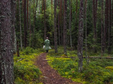 Mistik yağmur ormanları. Ormanın derinliklerinde. Forester yoğun orman ile iz devam ediyor.