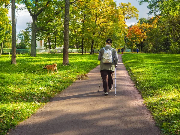 Yaşlı bir kadın ile bir baston ve sonbaharda Park yürüyen bir köpek. Sonbahar Park insanlar. Alexanrovsky Park St. Petersburg. Puşkin şehir.