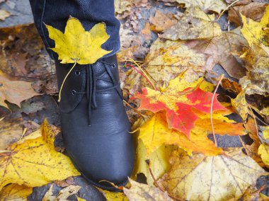 Ayakkabı sonbahar yaprağı. Ayakkabı üzerinde döşeme sonbahar düşen yapraklar. 