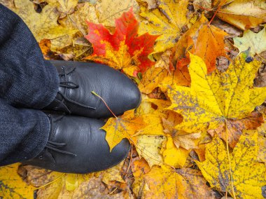 Ayakkabı sonbahar yaprağı. Ayakkabı üzerinde döşeme sonbahar düşen yapraklar. 