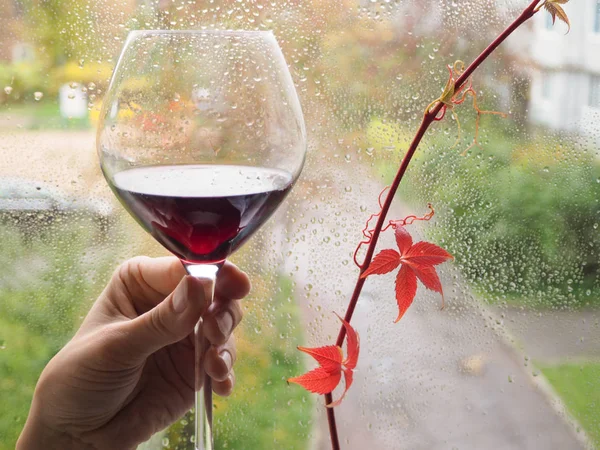 Una copa de vino tinto en el fondo de la ventana lluviosa . — Foto de Stock