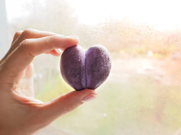 Ciruela en forma de corazón. Fruto del amor. Ciruela en forma de culo. Ciruela única . — Foto de Stock