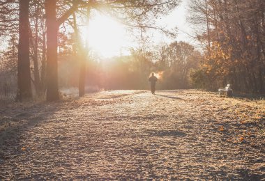 Sabah koşuya üzerinde güneşli bir arka plan bulanık. Parkta sonbahar sabahı. 