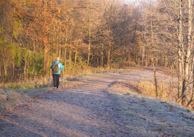 Sabah koşuya üzerinde güneşli bir arka plan bulanık. Parkta sonbahar sabahı. 