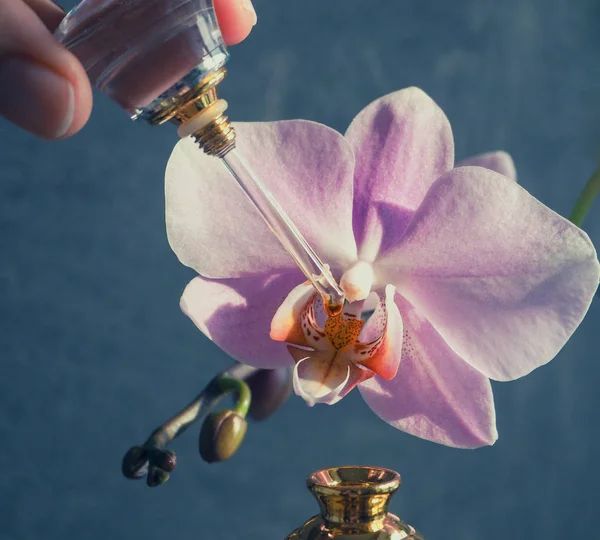 阿拉伯 Oud Attar 香水或 Agarwood 油香料在迷你瓶 — 图库照片
