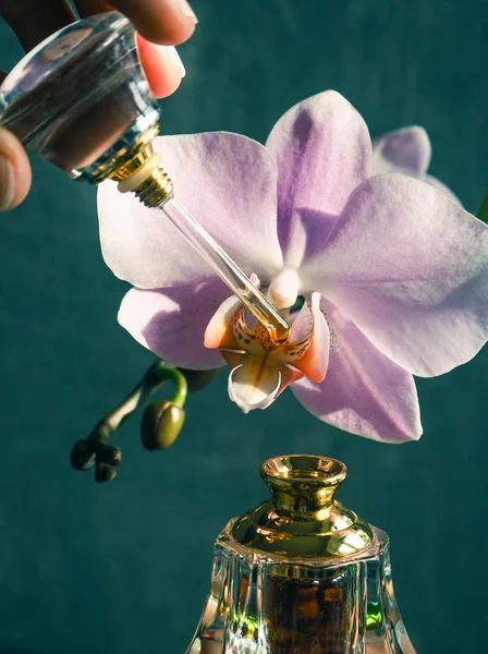 Arabisches Oud Attar Parfüm Oder Agarwood Mini Flaschen — Stockfoto