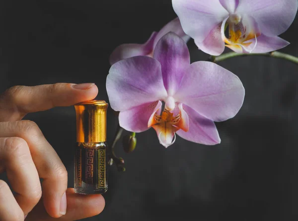 Perfume Oud Attar Árabe Fragancias Aceite Madera Agar Mini Botellas — Foto de Stock