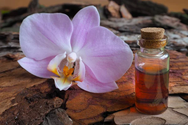 Arabische Massage Olie Stenen Orchidee Bloem Met Natuurlijke Olie Spa — Stockfoto