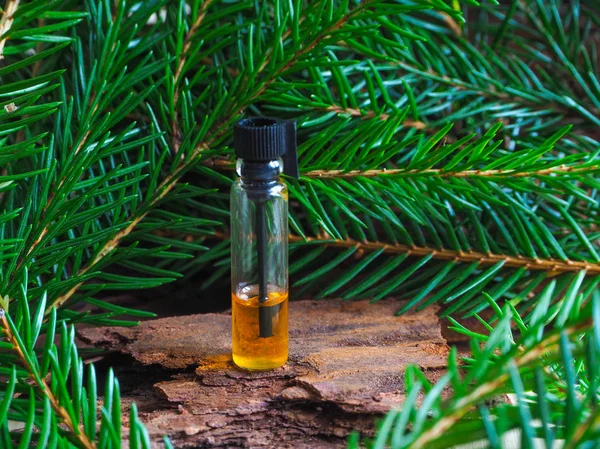 Olio Abete Naturale Una Mini Bottiglia Olio Massaggio — Foto Stock