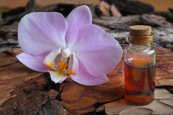 Arab Massage Oil Stones Orchid Flower Natural Oil Spa Salon Stock Picture