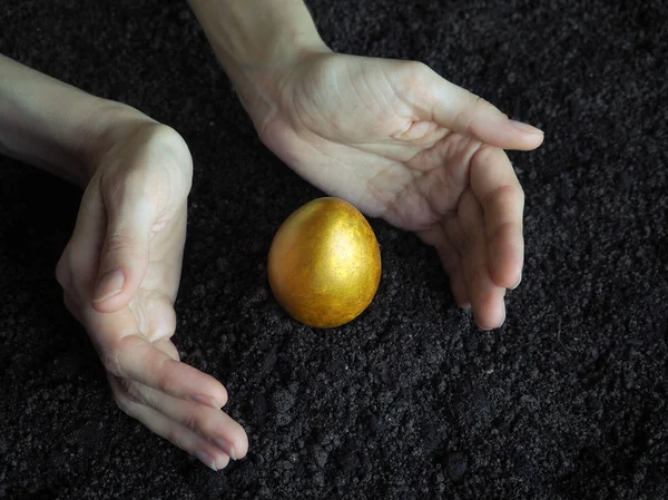 Golden egg in the hands of. The concept of a new life.