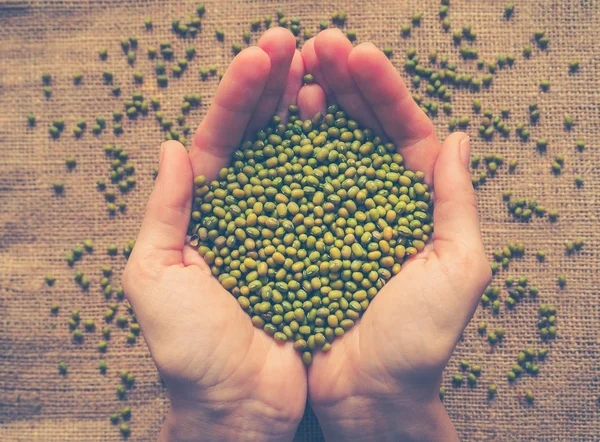 Mung Bean Drewniane Miski Pojęcie Jedzenie Zdrowe Korzystne — Zdjęcie stockowe