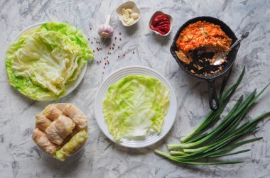 Pirinç ve sebze, üstten görünüm ile dolması lahana pişirme rulo. 