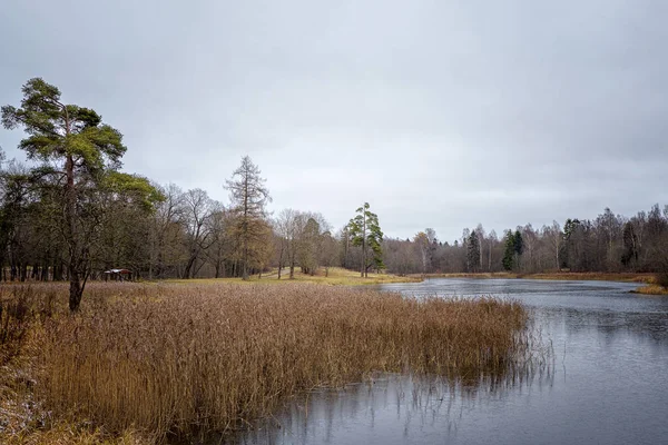 Regnig dag på sjön på hösten. — Stockfoto