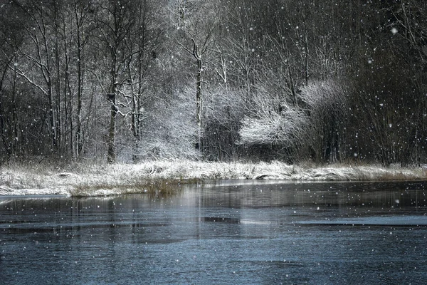 Snowfall on the lake in the winter park. — Stock Photo, Image