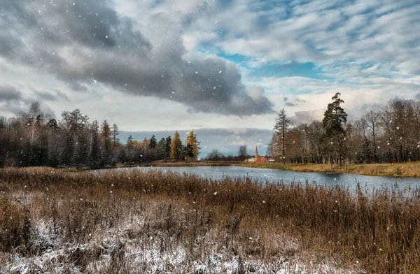 Floresta de neve no lago no parque de inverno. Gatchina . — Fotografia de Stock